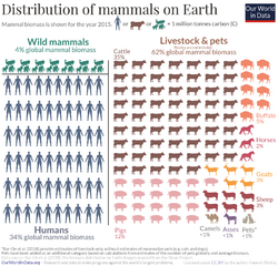 Distribution-of-earths-mammals.png