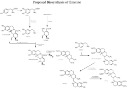 Emetine biosynthesis resized.png