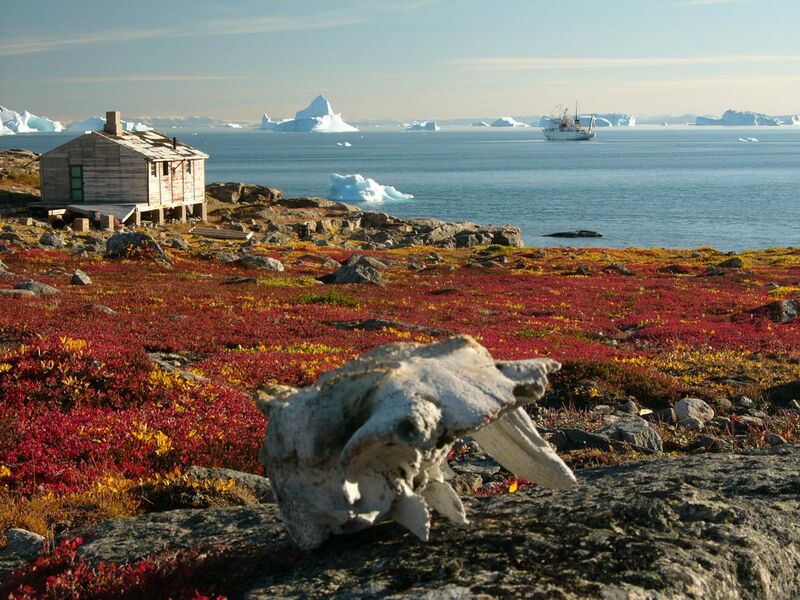 File:Greenland scoresby-sydkapp2 hg.jpg