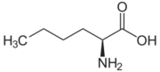 L-Norleucin.svg