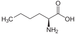 L-Norleucin.svg