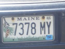 A vehicle registration plate from Maine, with a black-capped chickadee perched on a pine branch on the left of the plate