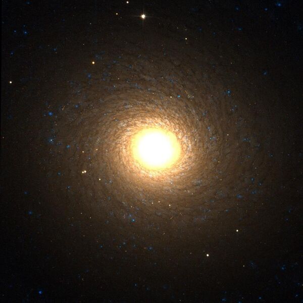 File:NGC 7217 Hubble.jpg