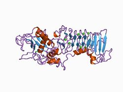 PDB 1af0 EBI.jpg