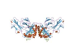 PDB 1xz0 EBI.jpg