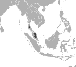 Range of the Malayan tiger
