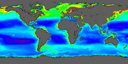 Plankton satellite image.jpg