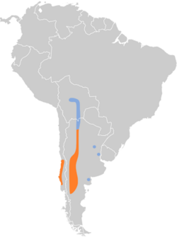 Pseudocolopteryx citreola map.svg