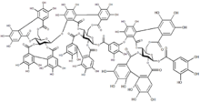 Chemical structure of raspberry ellagitannin
