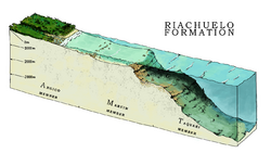 Riachuelo Formation cross section.png