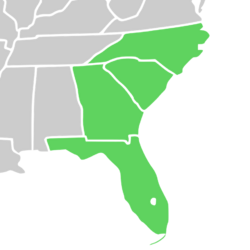 Symphyotrichum simmondsii native distribution map: US — Florida, Georgia, North Carolina, and South Carolina.