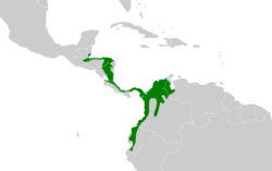 Thamnophilus atrinucha map.svg