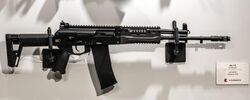 AK-19 Assault Rifle Army-2022 2022-08-20 2386.jpg