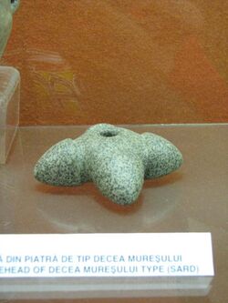 Alba Iulia National Museum of the Union 2011 - Stone Mace Head of Decea Muresului Type from Sard-1.JPG