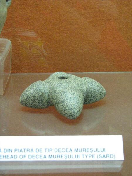 File:Alba Iulia National Museum of the Union 2011 - Stone Mace Head of Decea Muresului Type from Sard-1.JPG