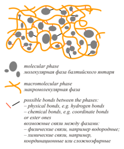 Baltic Amber General Structure.svg