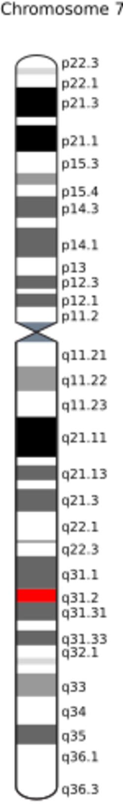 CFTR gene on chromosome 7.svg