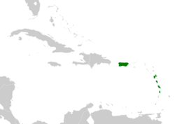 Contopus latirostris map.svg