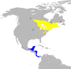 Dendroica pensylvanica map.svg