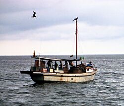 Photo of single-masted boat at sea