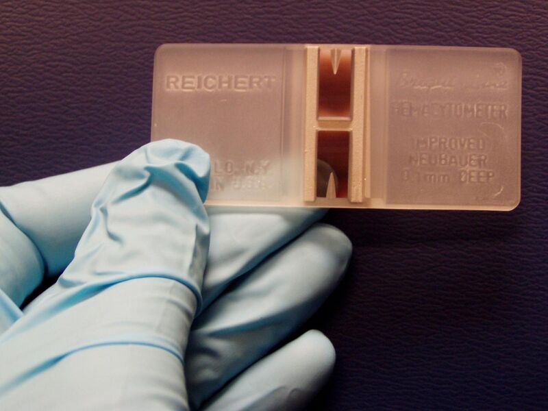 File:Hemocytometer with gloved hand.JPG