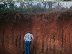 Hilo soil profile.jpg