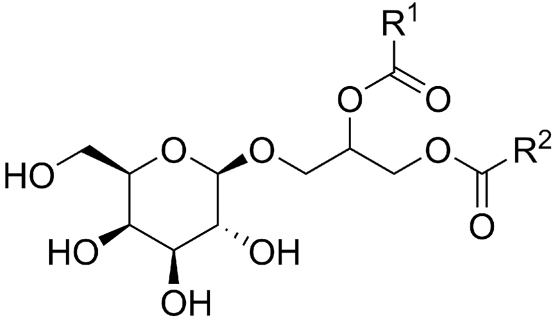 File:Monogalactosyl diacylglycerol.png