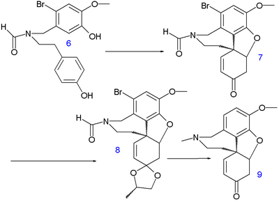 Narwedine synthesis A