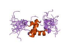 PDB 2crn EBI.jpg