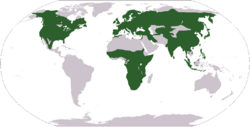 Paridae Distribution.PNG