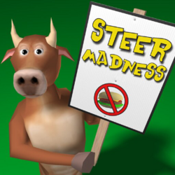 SteerMadness logo.png