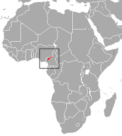 Cameroonian Forest Shrew area.png