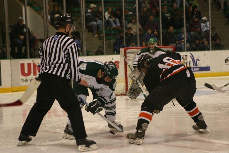 File:Dartmouth vs Princeton ice hockey 1, 2007.jpg