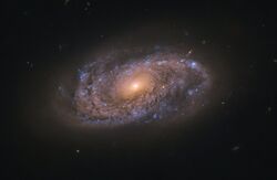 NGC 2906 galaxy.jpg