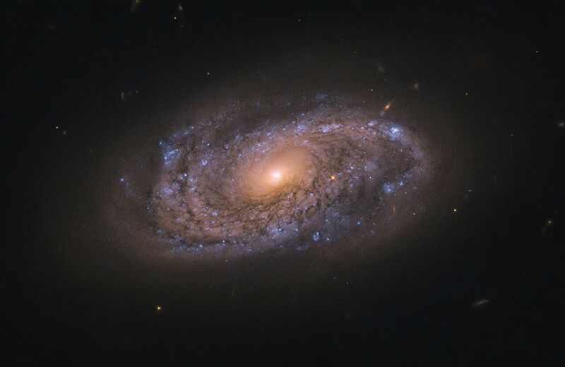 File:NGC 2906 galaxy.jpg