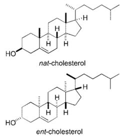 Nat-cholesterol and ent-cholesterol.jpg