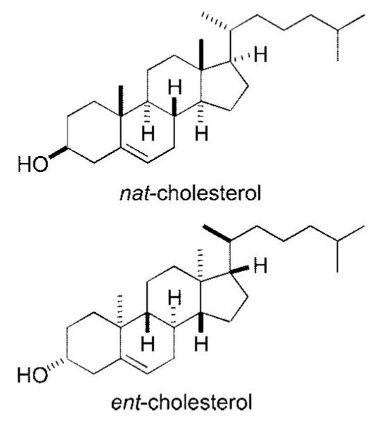 File:Nat-cholesterol and ent-cholesterol.jpg
