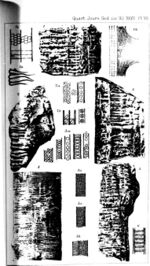 On the structure and affinities of Sigillaria, Calamites and Calamodendron (microform) (1871) (20604766032).jpg