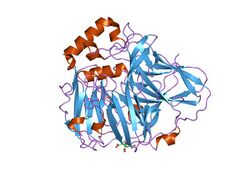 PDB 2fqe EBI.jpg