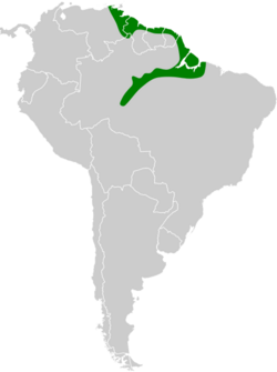 Pipra aureola map.svg