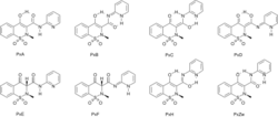 Piroxicam tautomers.svg