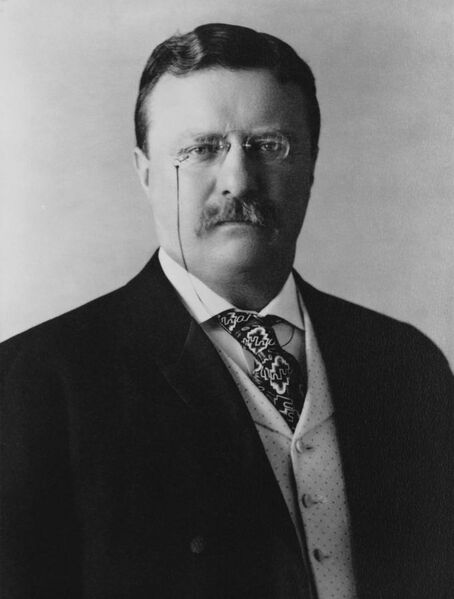 File:President Theodore Roosevelt, 1904.jpg