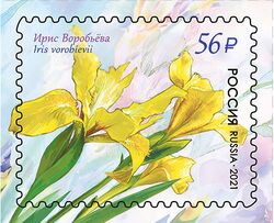 Russia stamp 2021 № 2742.jpg