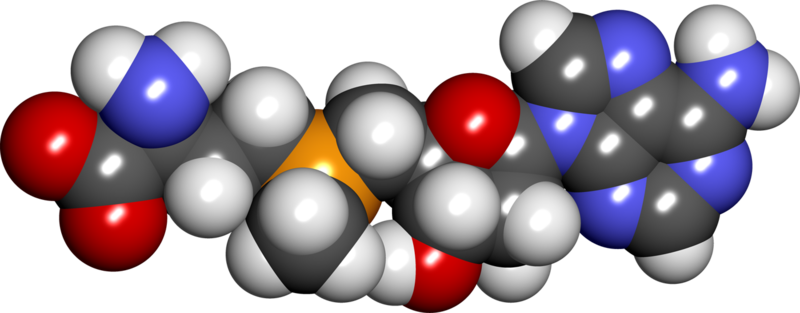 File:S-adenosylmethionine spacefill.png