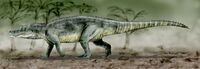 Saurosuchus BW.jpg