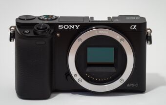 Sony Alpha ILCE-6000 APS-C-frame camera no body cap-Crop.jpeg