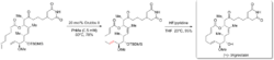 Synthesis of Migrastatin.png