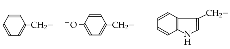 File:Aromatic amino acid side-chains.png