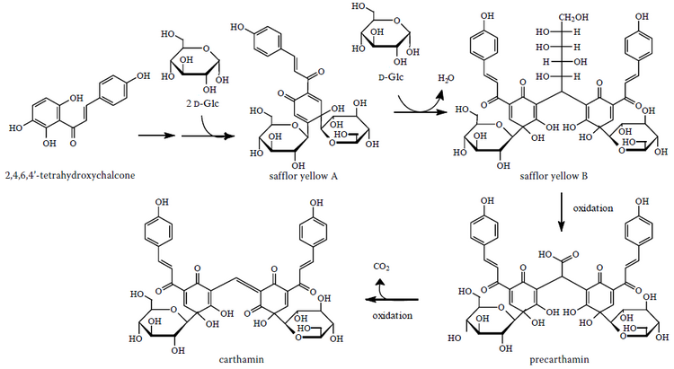 Carthamin proposed biosynthesis.png