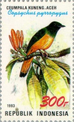 Copsychus pyrropygus 1993 Indonesia stamp.jpg